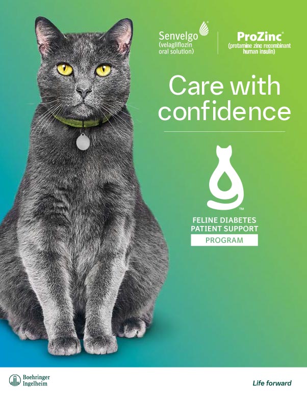 Feline Diabetes Patient Support Program Detailer