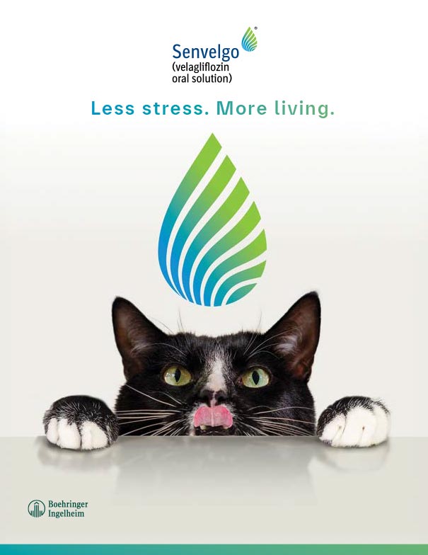 SENVELGO Vet Detailer